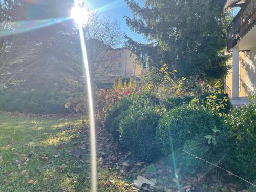 un palo della luce nel cortile di una casa di Роксолана a Truskavec'