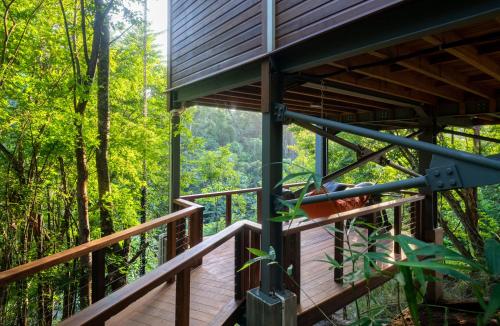 a view from the deck of a tree house in the forest at Secret Bay in Portsmouth