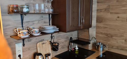 a kitchen with wooden cabinets and a sink with cups and plates at Myśliwska 5a in Karpacz