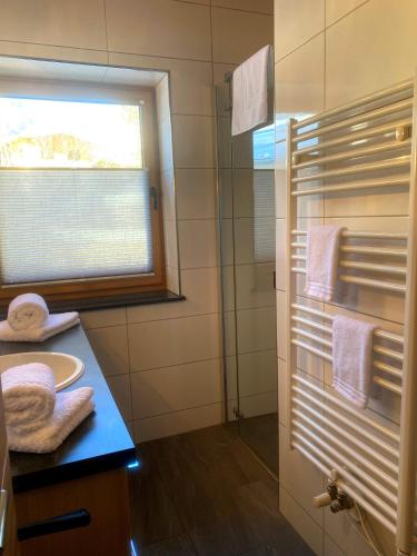 a bathroom with a sink and a glass shower at Mountain Apart Katzenkopf in Leutasch