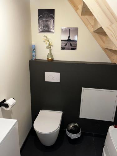 a bathroom with a white toilet and a staircase at Magnifique Duplex avec Jaccuzi, Sauna et Cinema Room Privatif in Fontenoy