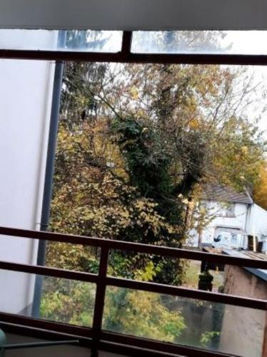 a window view of a tree from a house at F2 Rénové Centre de Haguenau in Haguenau