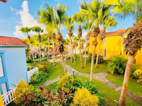 an aerial view of a yard with palm trees at Hamo Cosy in Sainte-Anne
