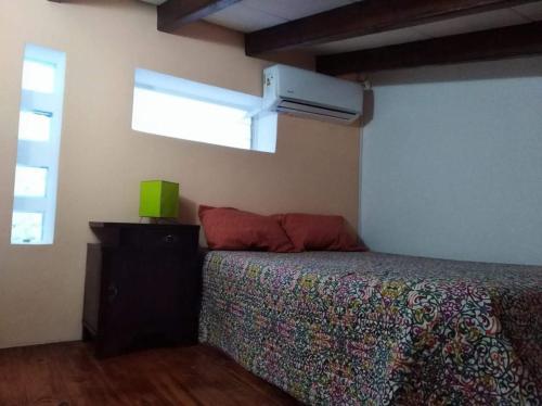 a bedroom with a bed and a window at Loft del Centro Mendoza in Mendoza