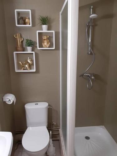 une salle de bain avec des toilettes blanches et une douche dans l'établissement Studio 1 - 4 pers à 300m de la plage avec vue mer, à Stella-Plage