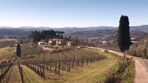a vineyard with a house in the middle of a road at Laura Chianti Vacanze in Poggibonsi