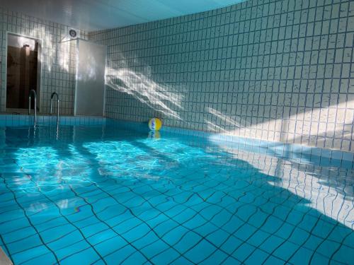 a swimming pool with a ball in the water at Capt'n Eike in Westerdeichstrich