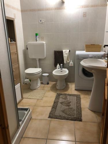 ein Badezimmer mit einem WC, einem Waschbecken und einer Waschmaschine in der Unterkunft LE-Z-ETEILE de Saint-Barthélemy CIR 0026 VDA-NUS in Nus