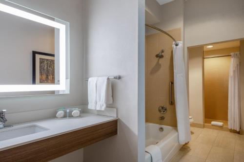 a bathroom with a sink and a tub and a shower at Holiday Inn Express & Suites Dallas East - Fair Park by IHG in Dallas