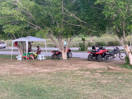 Ein Garten an der Unterkunft Monte Castelo Gravatá
