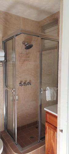 a shower with a glass door in a bathroom at Beach Studio 9 in Ocho Rios