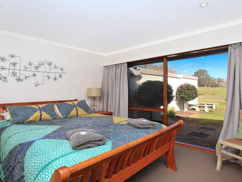 a bedroom with a bed and a large window at Cooinda in Kangaloon