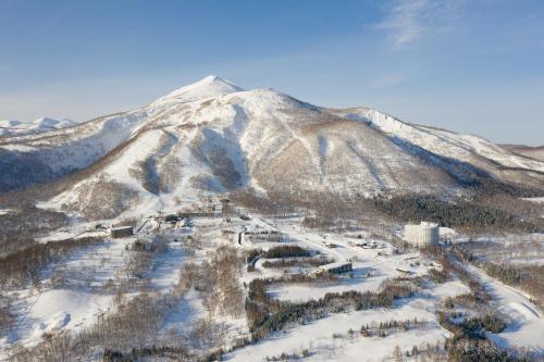an aerial view of a snow covered mountain at Hinode Hills Niseko Village in Niseko