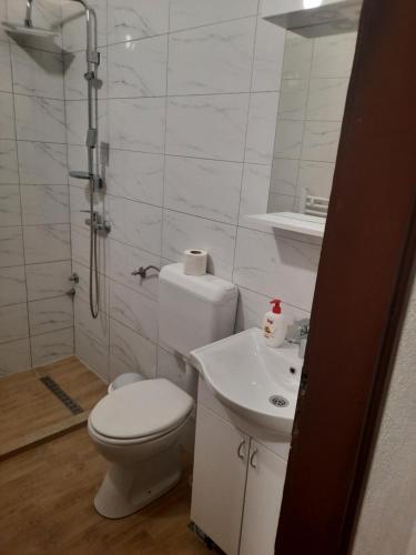 Et badeværelse på Apartmani Aleksandar
