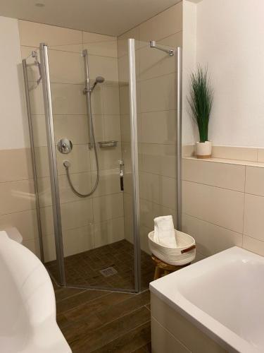 ein Bad mit einer Dusche, einem WC und einem Waschbecken in der Unterkunft Haus "Bergblick" Apartment mit 1 Schlafzimmer in Oberstaufen