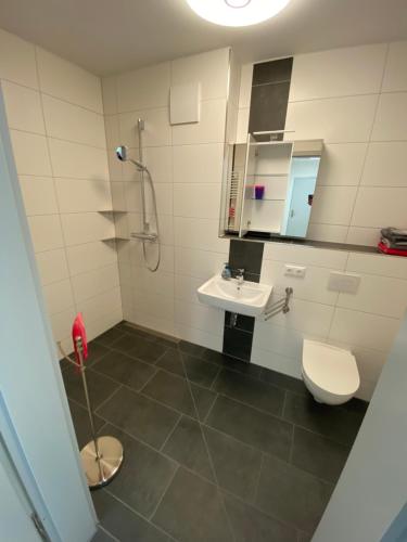 La salle de bains est pourvue d'une douche, d'un lavabo et de toilettes. dans l'établissement Moderne, barrierefreie Ferienwohnung, à Plauen