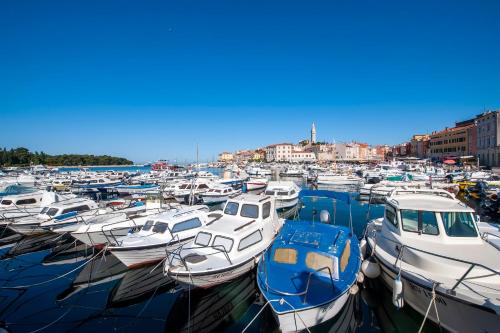OTTO Cozy Sea view Apartment-Parking Included