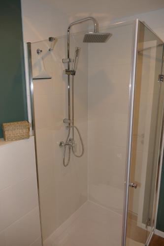 a shower with a glass door in a bathroom at Harzapart Appartement 2 "Wandertraum" in Walkenried
