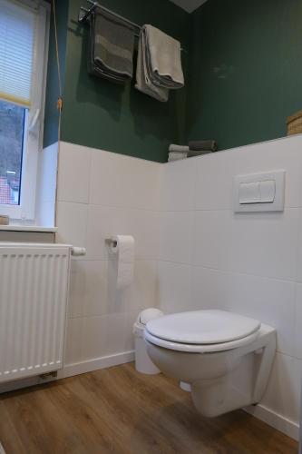 a bathroom with a white toilet and a green wall at Harzapart Appartement 2 "Wandertraum" in Walkenried