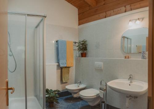 ein Bad mit einem Waschbecken, einem WC und einer Dusche in der Unterkunft Gogererhof App Maria in Ratschings