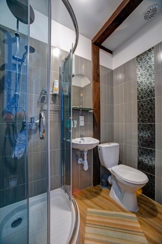 a bathroom with a shower and a toilet and a sink at Noclegi Dwór Szlachecki Biedaczów in Biedaczów