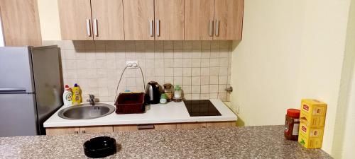 uma cozinha com um lavatório e um frigorífico em Moskva Apartman em Brcko