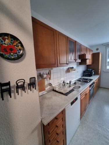 a kitchen with a sink and a stove top oven at Apartment Gulek in Zreče
