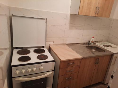 Dapur atau dapur kecil di Apartmani Aleksandar