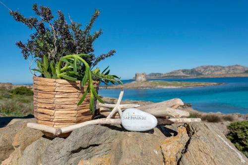 SARDINIA RE - Villa Pelosa – Photos 3