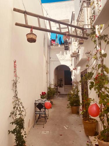 an alley with potted plants in a white building at Corte San Giorgio in Matino