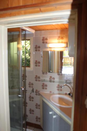 une salle de bain avec une douche, un lavabo et un miroir dans l'établissement appartement mitoyen dans chalet, à Fraize
