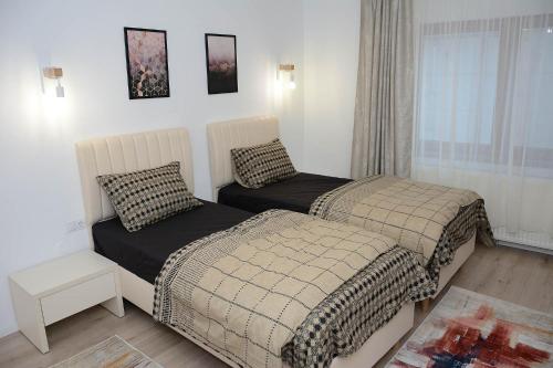 Simeria的住宿－Vila Aras，一间卧室设有两张床和窗户。
