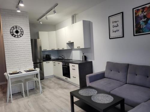 a living room with a couch and a kitchen at Apartament Piątka in Płock