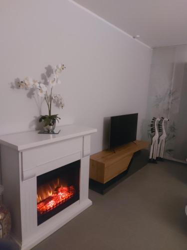 TV a/nebo společenská místnost v ubytování Ferienwohnung Haus Ilse