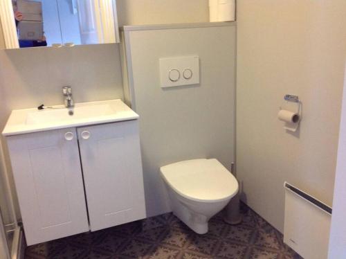 a bathroom with a white toilet and a sink at Å i Lofoten in Moskenes