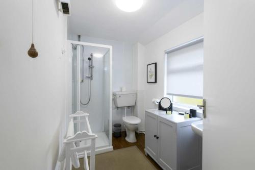 a white bathroom with a shower and a toilet at Waterwitch Cottage in Newquay