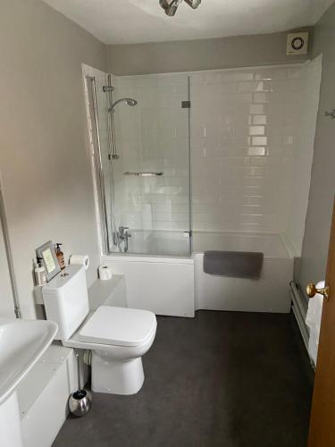 a bathroom with a toilet and a sink and a shower at The Red Lion Eaton in Norwich