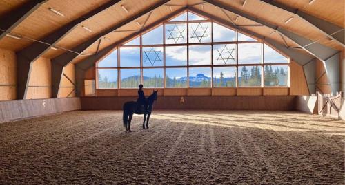 a person riding a horse in a large room with windows at Hytte på Myhre Gård in Skammestein