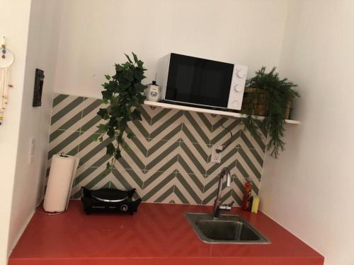 R - Private Studio in Little Havana (Apartment 2)