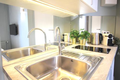 uma cozinha com um lavatório de aço inoxidável em The Green Room - Duke Housing em Créteil