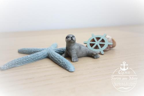 a figurine of a seal and a starfish at Chillmöwe in Norddeich