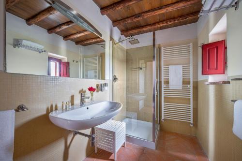 a bathroom with a sink and a shower and a toilet at RICASOLI, Capanna di Citerna in Gaiole in Chianti