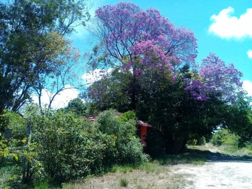 Sitio da Calma – Photos 2