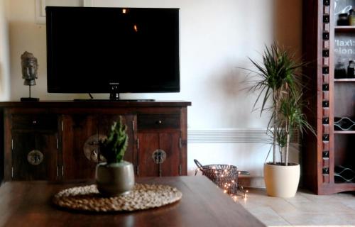 Televízia a/alebo spoločenská miestnosť v ubytovaní Petradi Residence @ Agoriani-Parnassus