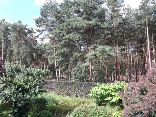 Taman di luar Amselgarten