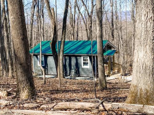 een klein huis met een groen dak in het bos bij Mountain Retreat Nesteled in the Virginia Foothills in Charlottesville