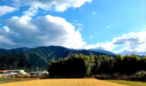 a field with trees and mountains in the background at あかがね荘 in Sumino