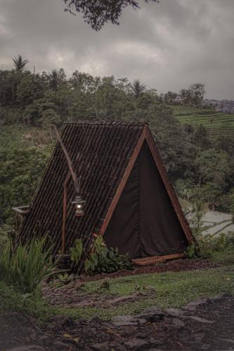 a small tent sitting on top of a field at KAMPUNG KOPI CAMP in Pujungan