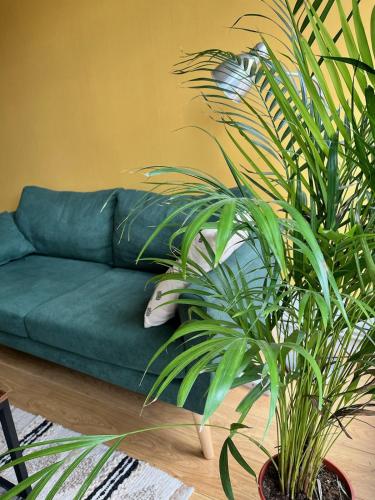 - un canapé vert dans le salon orné de plantes dans l'établissement Appartement avec terrasse Salle de sport et 3 chambres, à Metz