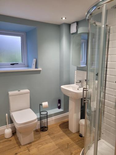 a bathroom with a toilet and a sink at The Granary in Llanddeiniol